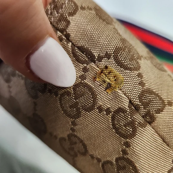 Gucci Authentic  pochette GG canvas bag pouch #103399 - Picture 14 of 16